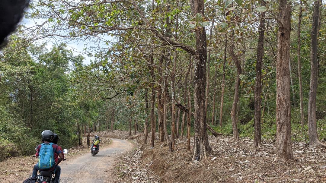 Shendurney Wildlife Sanctuary